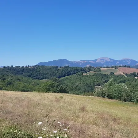 Feriehus Due Tigli - Il Tuo Rifugio Nelle Colline Marchigiane *