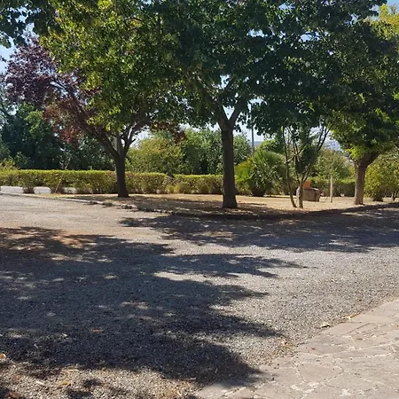 Due Tigli Casa vacanze Arcevia