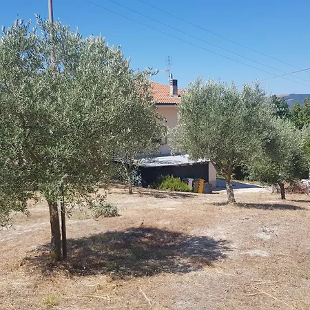 Feriehus Due Tigli - Il Tuo Rifugio Nelle Colline Marchigiane