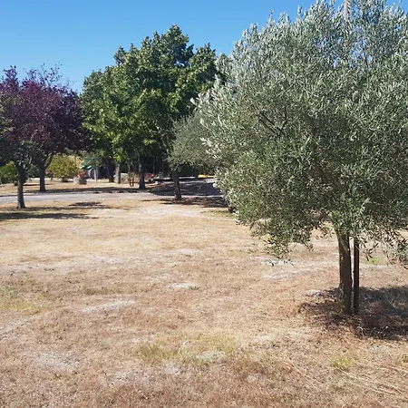 Due Tigli 別荘 Arcevia