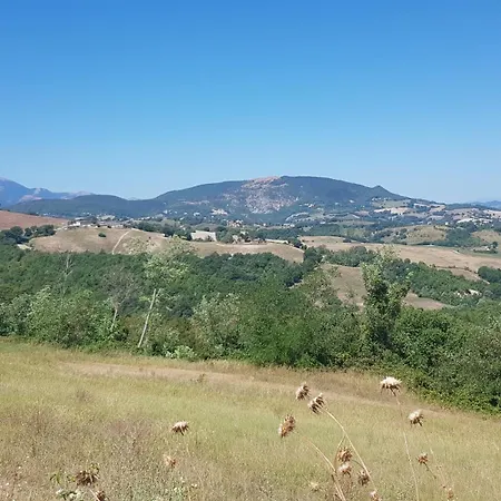 Due Tigli - Il Tuo Rifugio Nelle Colline Marchigiane *