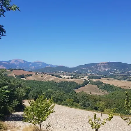 Feriehus Due Tigli - Il Tuo Rifugio Nelle Colline Marchigiane *