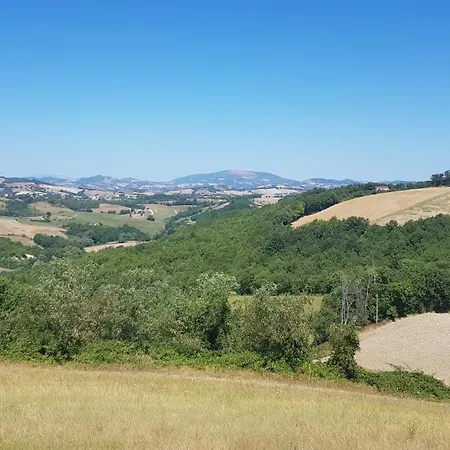 Due Tigli - Il Tuo Rifugio Nelle Colline Marchigiane *