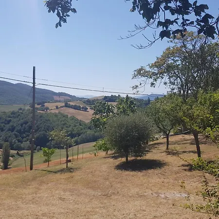 Due Tigli - Il Tuo Rifugio Nelle Colline Marchigiane