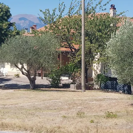 Feriehus Due Tigli - Il Tuo Rifugio Nelle Colline Marchigiane