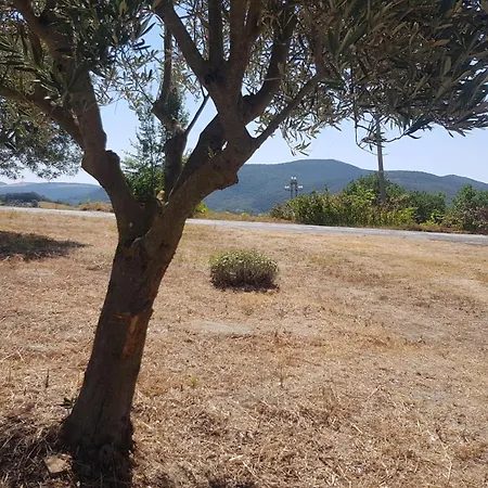 Due Tigli - Il Tuo Rifugio Nelle Colline Marchigiane Feriehus