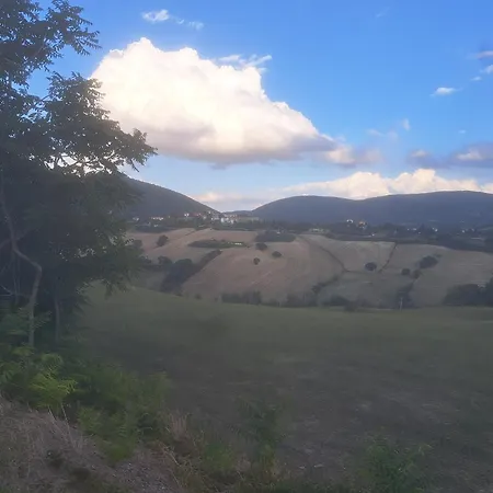 Feriehus Due Tigli - Il Tuo Rifugio Nelle Colline Marchigiane